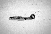 b24angelthb.jpg (1759 bytes)