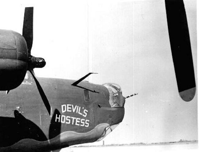 devilshostessnoseart.jpg (28641 bytes)