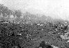 fogcrash1thb.jpg (2615 bytes)