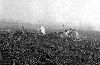fogcrash2thb.jpg (2261 bytes)