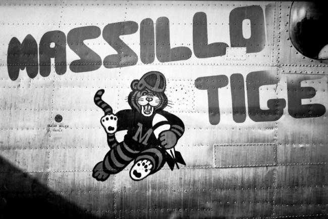 massillonnoseart.jpg (45682 bytes)