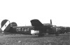 missfortunethb.jpg (1769 bytes)