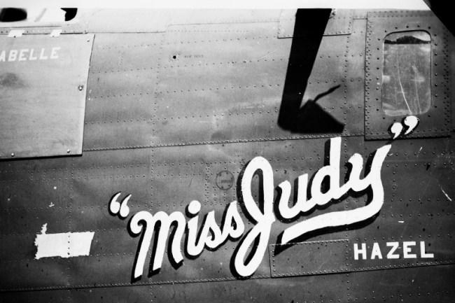missjudynoseart.jpg (43041 bytes)