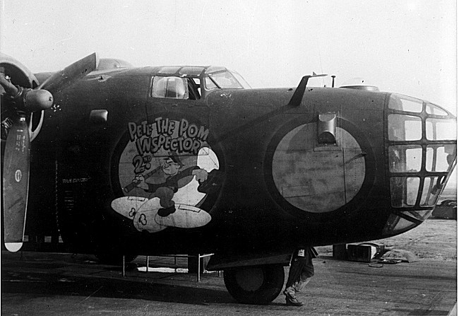 pom2.jpg (78320 bytes)