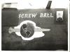 screwballthb.jpg (2298 bytes)
