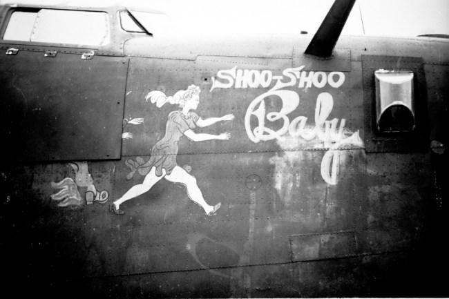 shooshoobabynoseart.jpg (34475 bytes)