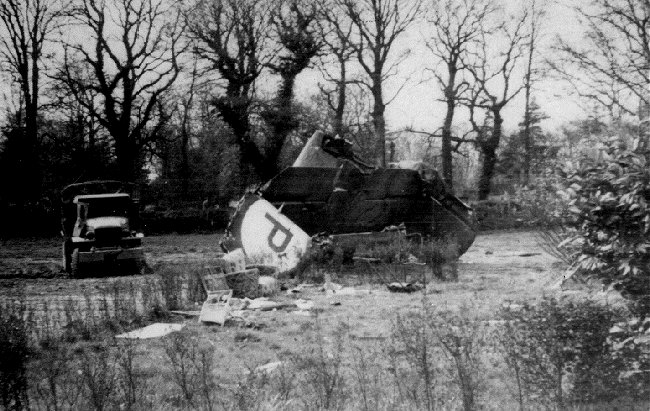 skinnercrash.jpg (94668 bytes)