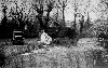 skinnercrashthb.jpg (3513 bytes)