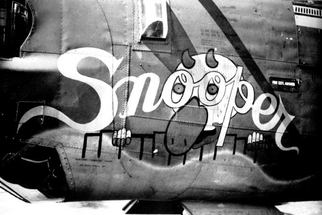 snoopernoseart.jpg (47143 bytes)