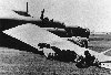 stingercrashthb2.jpg (3305 bytes)