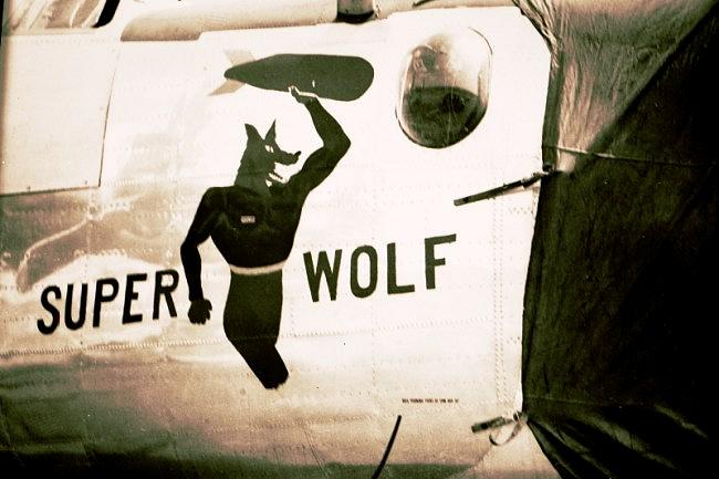 superwolfnoseart.jpg (44078 bytes)