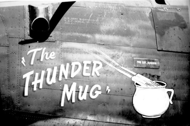 thethundermugnoseart.jpg (42983 bytes)